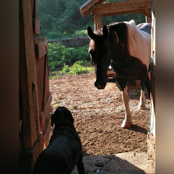 About Me. - Picture 4 of 4